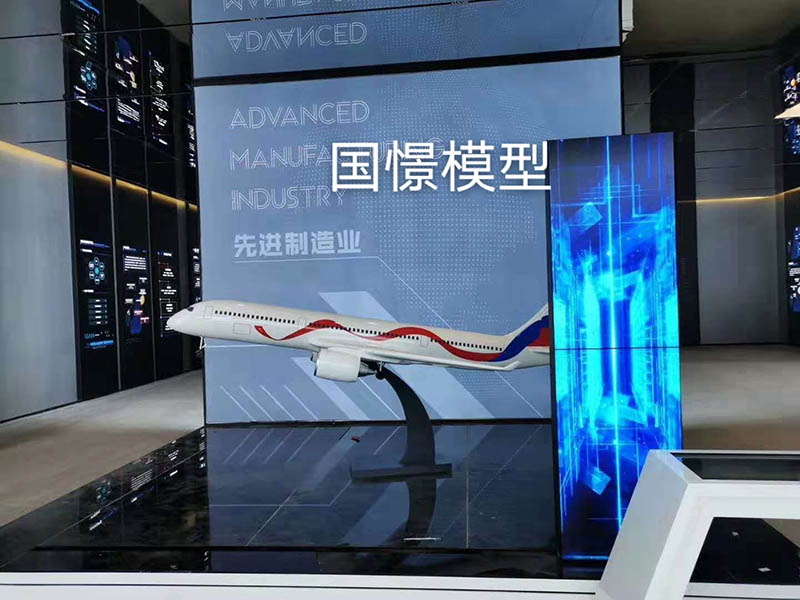 绥江县飞机模型